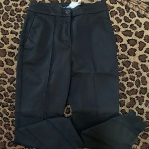 Express Work Pants